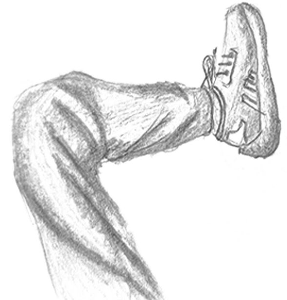 Leg