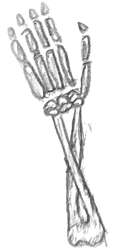 Skelly 2